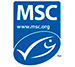 certificado de garantia msc