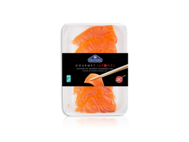 gourmet japones sashimi atun 768x576 2 1 copia