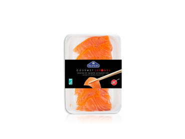 gourmet japones sashimi salmon